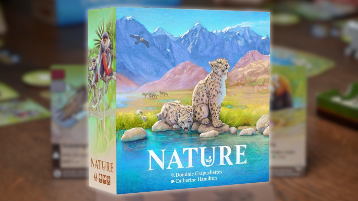 Alam Papan Permainan Tinjauan